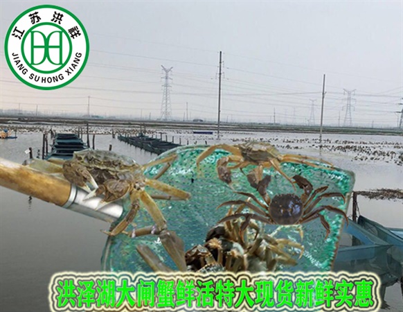 在線稱重模塊