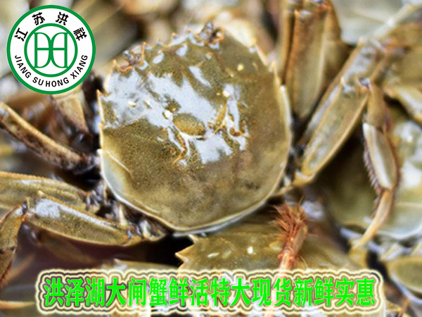 AP系列分析天平